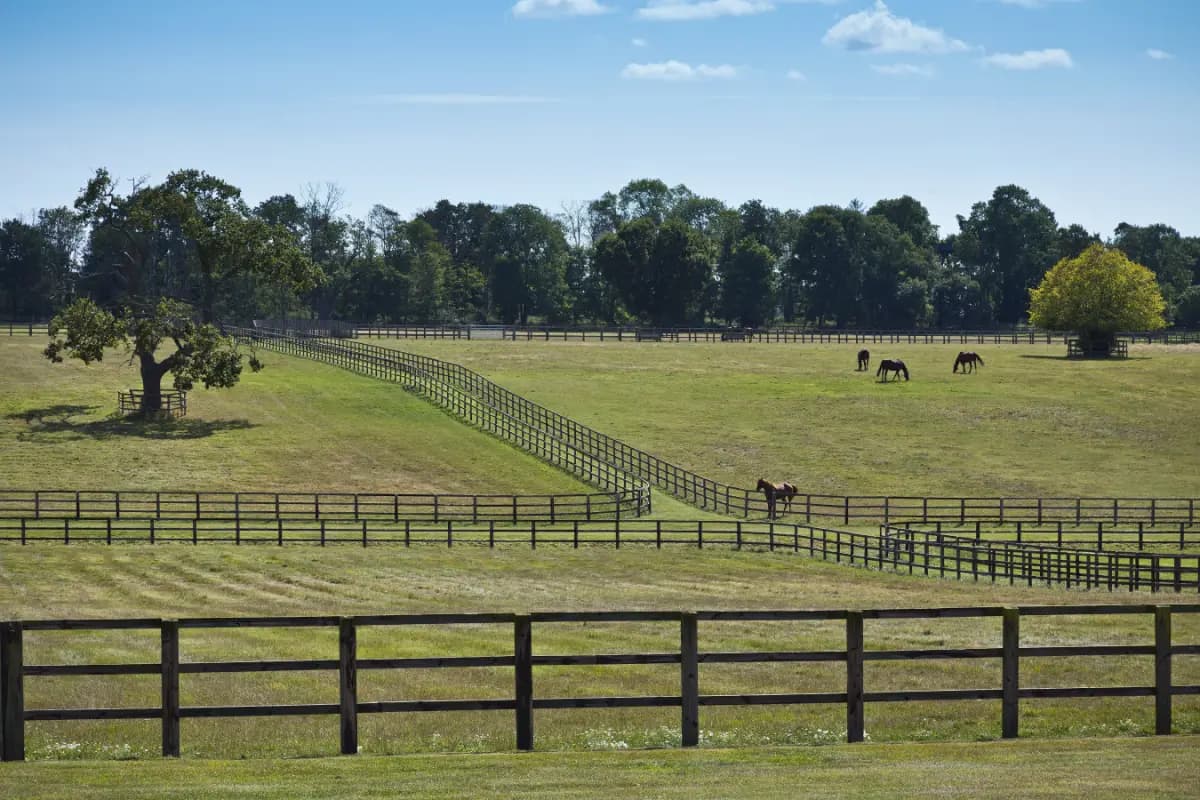 Martley Hall Estate by Group Retreats
