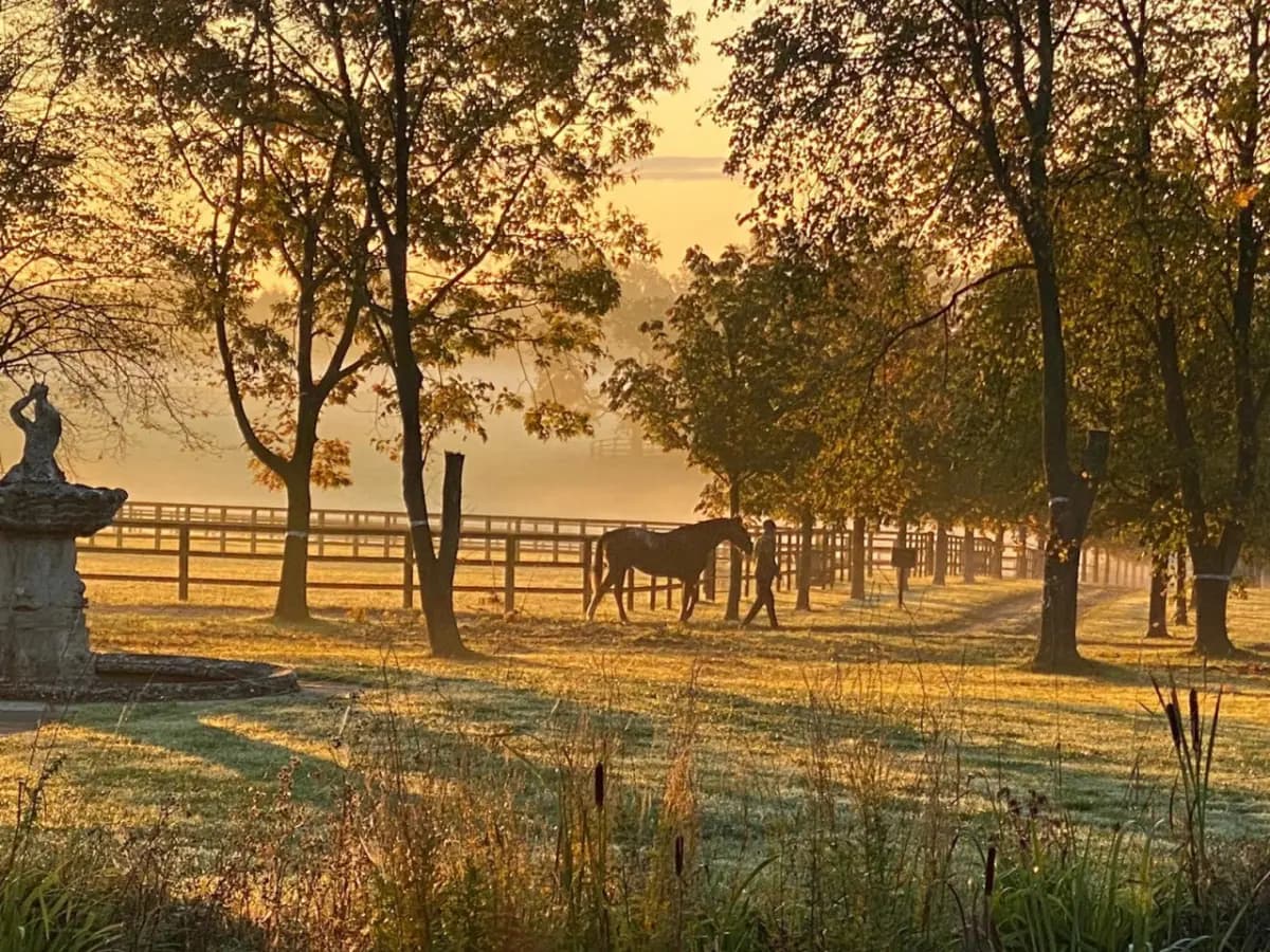 Martley Hall Estate by Group Retreats